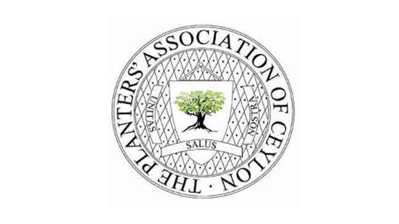 நாட்டின் பெருந்தோட்டத் துறையின் நிலையான இருப்புக்காக நியாயமான மின்சாரக் கட்டணத்தை வழங்குமாறு வலியுறுத்துகிறது இலங்கை பெருந்தோட்ட முதலாளிமார் சம்மேளனம்