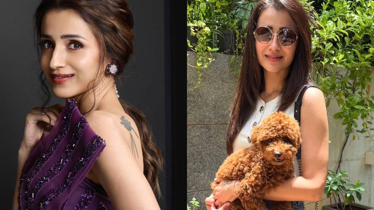 நாயை கோவிலுல்லுள் அழைத்துச் சென்றாரா திரிஷா! 