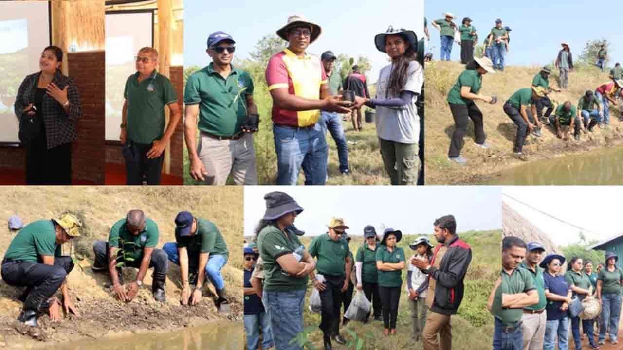 SLT-MOBITEL மற்றும் Battle of the Maroons ‘Play for the Planet’ இணைந்து ஆனவிழுந்தாவ கண்டல்தாவர சூழல்கட்டமைப்பை மறுசீரமைப்பு