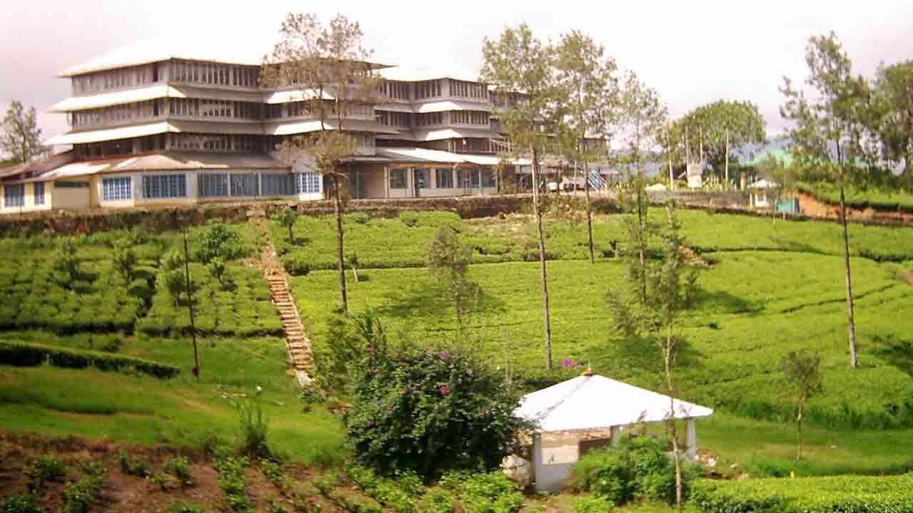 தேயிலை உற்பத்தியையும் முக்கிய ஏற்றுமதி சந்தைகளையும் சீராக வைத்திருப்பதற்கு ஒருங்கிணைந்த நடவடிக்கை தேவை எனத் தோட்ட உரிமையாளர்கள் கூறுகின்றனர்