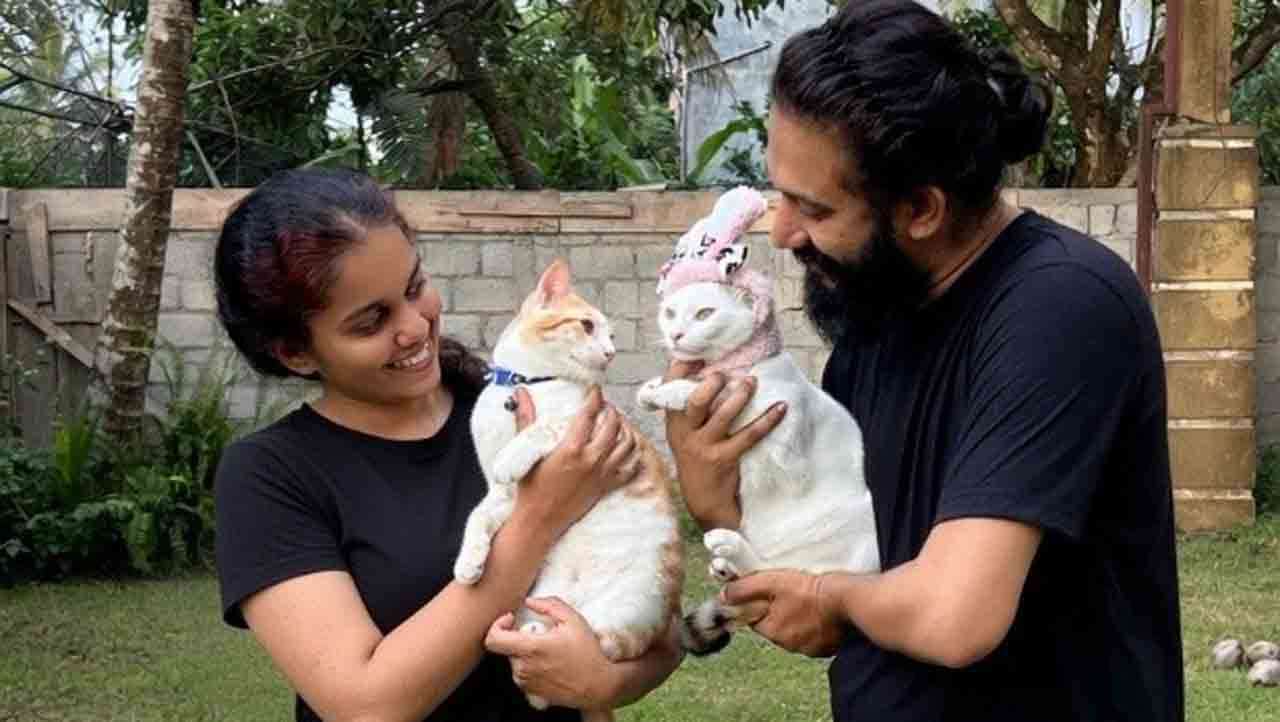 இலங்கையில் பூனைகள் கைவிடப்படுவதைத் தடுக்க TikTok மூலம் விழிப்புணர்வை ஏற்படுத்தும் CocoBunny Family