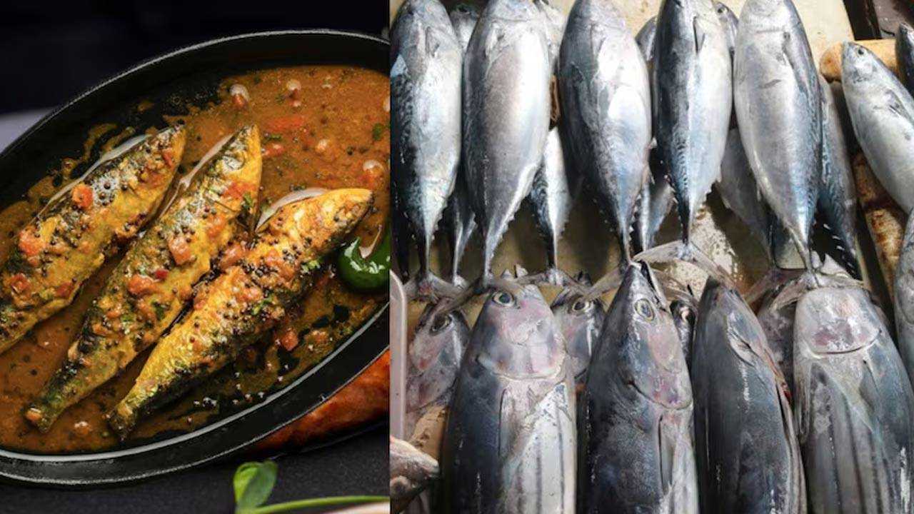 இந்த மீனை சாப்பிட்டால் இவ்வளவு பலன்களா?