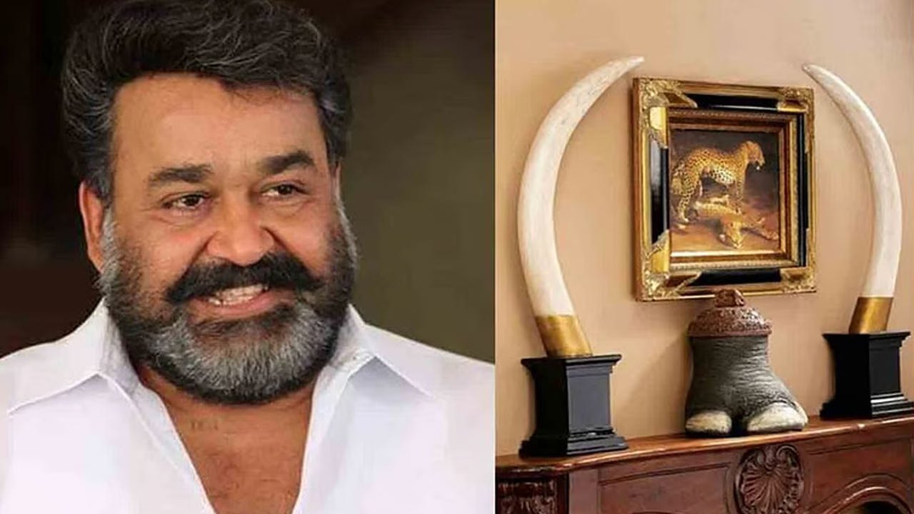 மோகன்லாலிடம் 6 யானைத் தந்தங்கள் இருப்பது கண்டுபிடிப்பு!