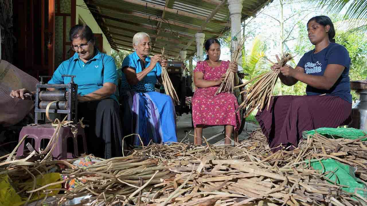 ஒரு சுற்றுச்சூழல் அச்சுறுத்தலை நல்வாய்ப்பாக மாற்றல்: ‘Hyacinthesis’ Accelerator உத்தியோகபூர்வமாக ஆரம்பம்