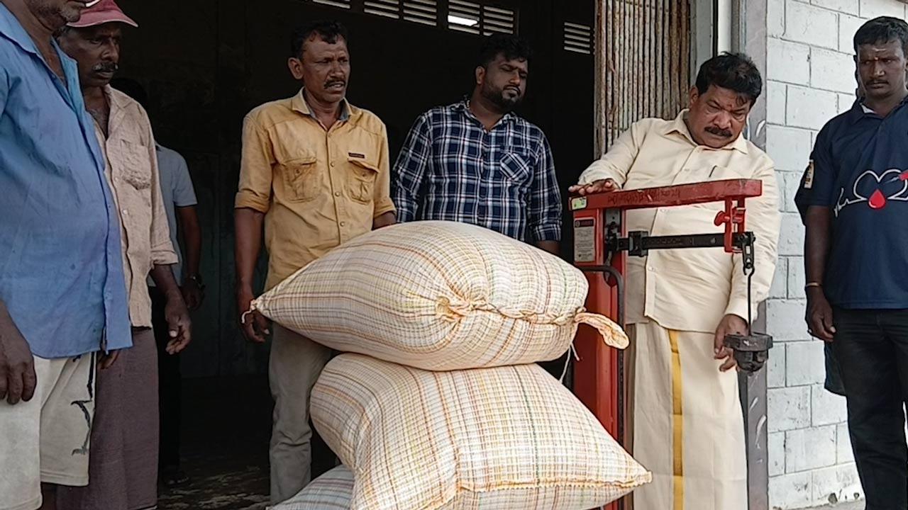 கிளிநொச்சியில் நெல் கொள்வனவு ஆரம்பம்!