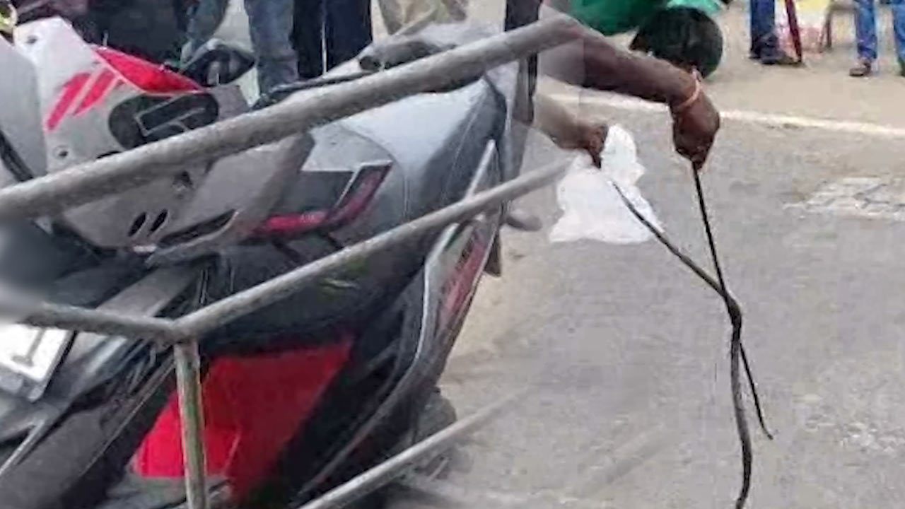 வீதியோரமாக நிறுத்தி வைக்கப்பட்டிருந்த மோட்டார் சைக்கிளுக்குள் புகுந்த பாம்பு!