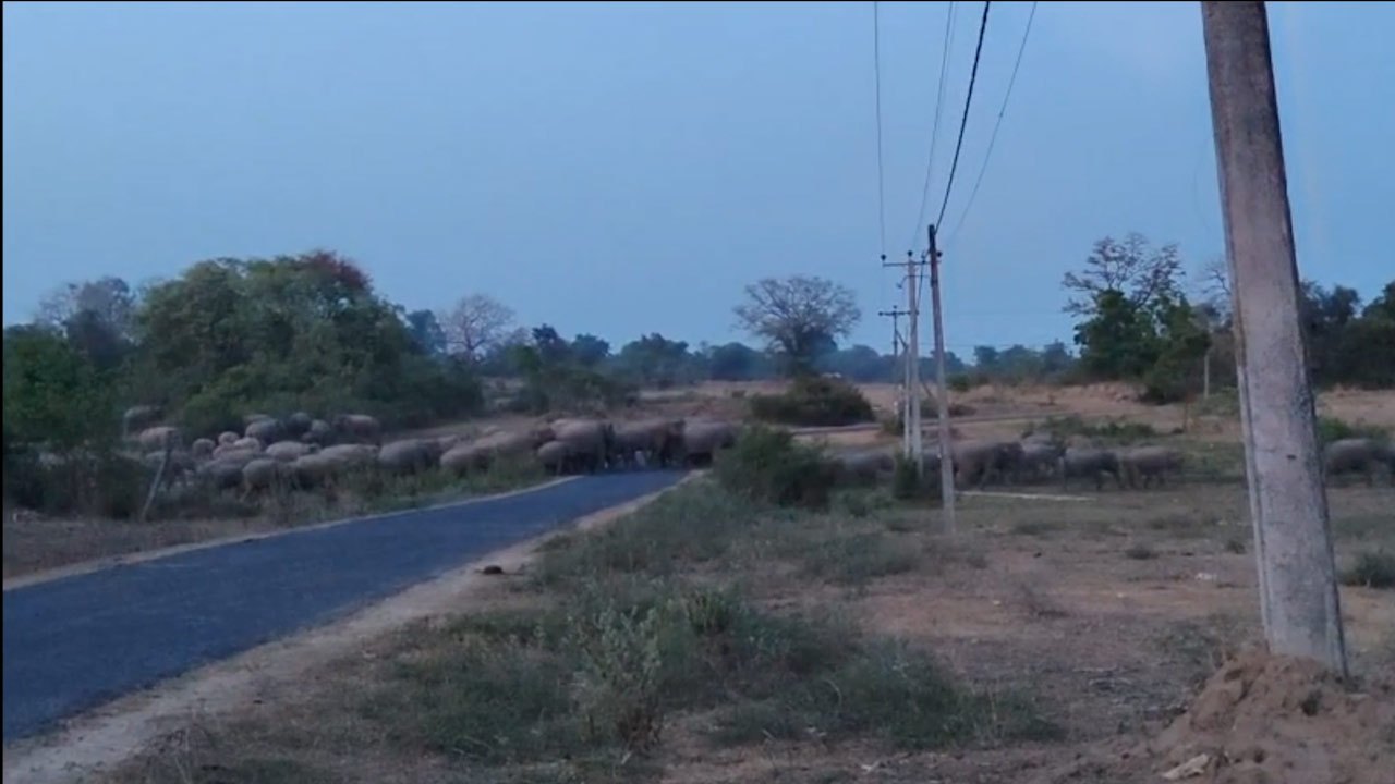 மக்கள் அவதானமாக இருக்குமாறு எச்சரிக்கை!