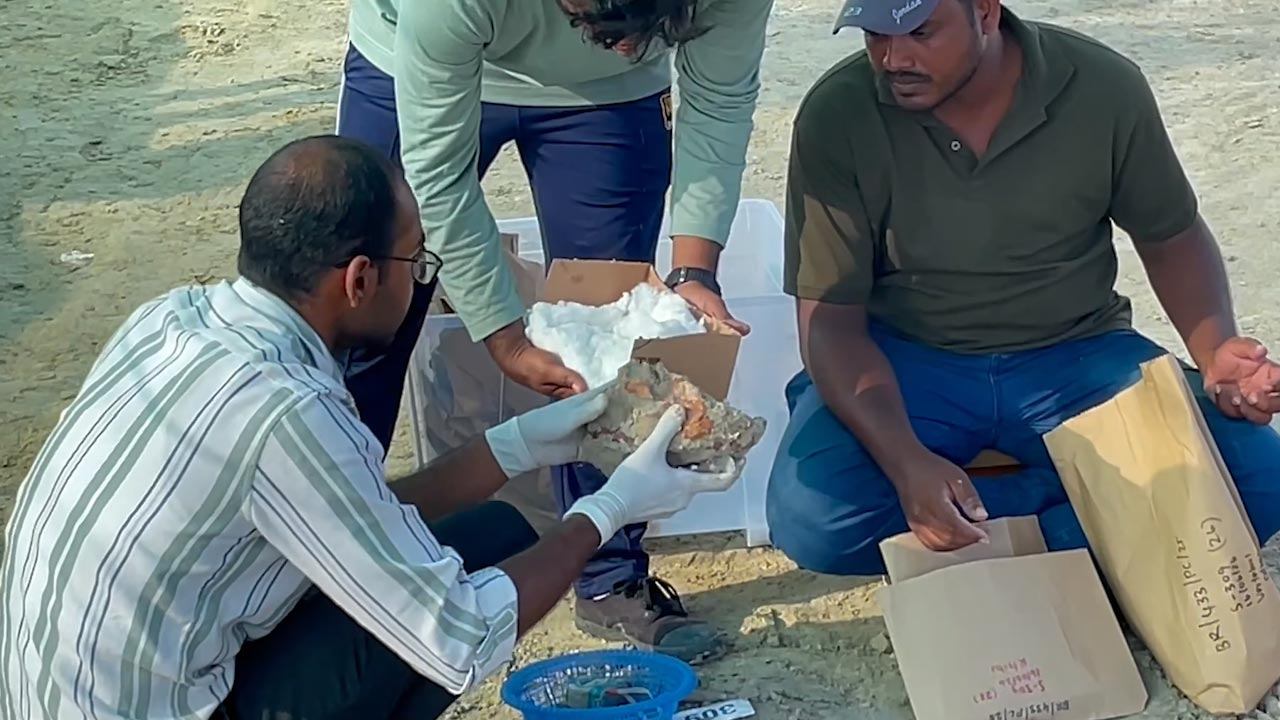 செம்மணியில் 357 என்புக்கூடுகள் அகழ்ந்தெடுப்பு!