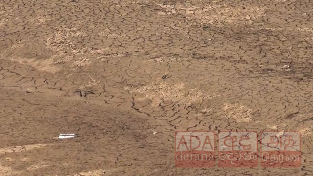 நுவரெலியாவில் உச்சம் தொடும் வறட்சி!